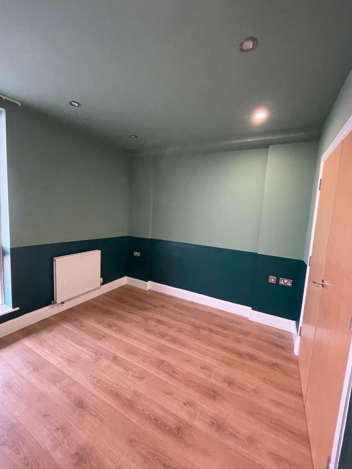 Professional Painting Work